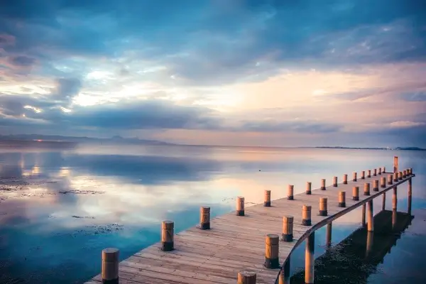 上海大学 魏静老师简介