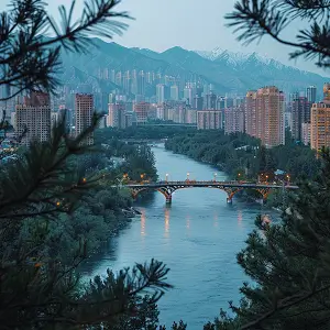 清华大学汪健康简介