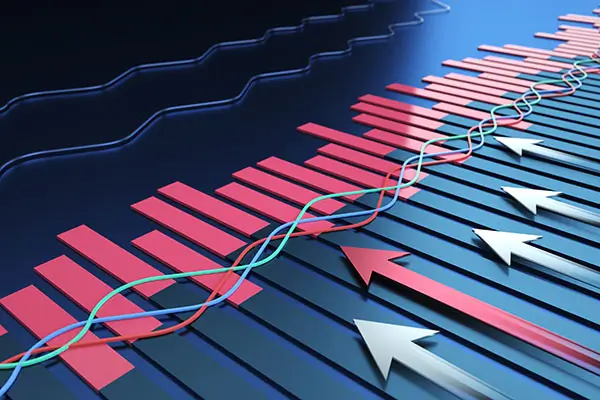 南华大学 陈新导师简介