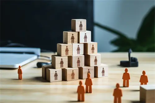 聊城大学夏雨欣教授简介