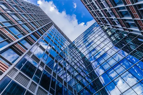 武汉大学苏子怡简介资料