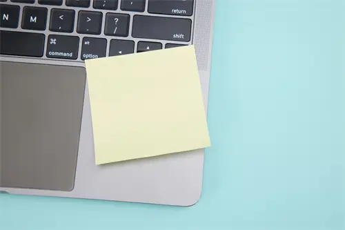 张默大学老师简介